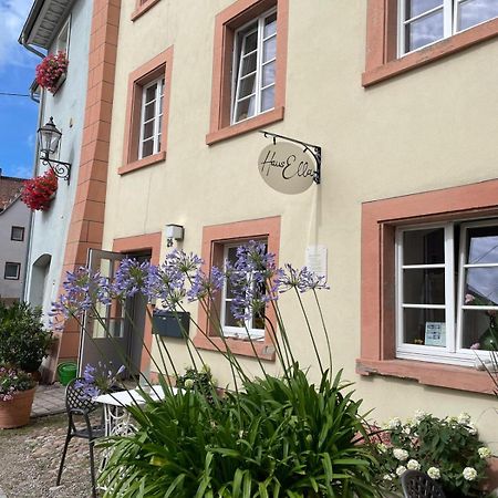 Appartamento Haus Ella Stuhlingen Esterno foto
