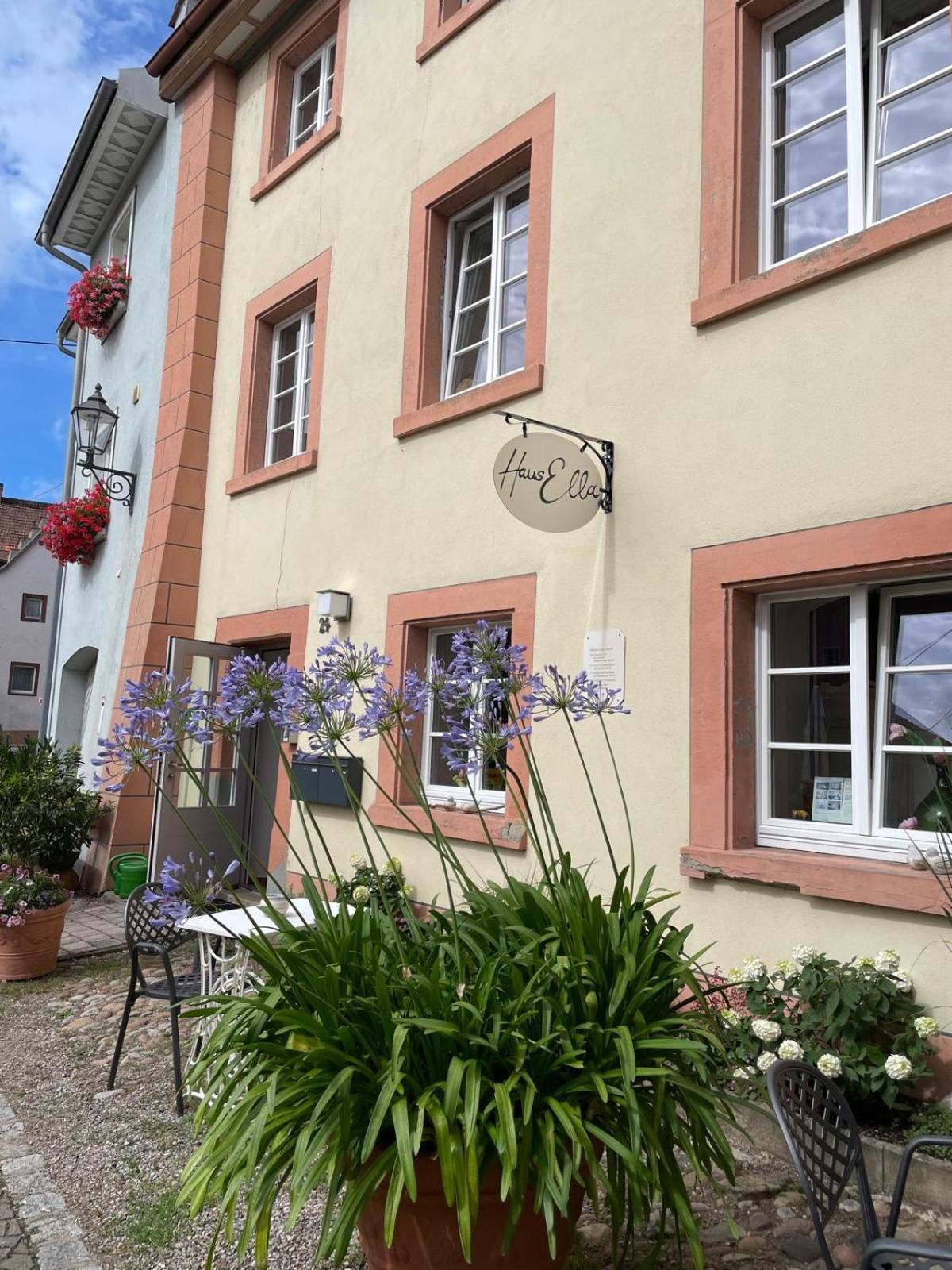 Appartamento Haus Ella Stuhlingen Esterno foto